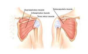rotator-cuff-physical-therapy